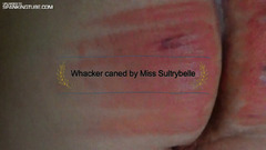 Whacker caned by Miss Sultrybelle